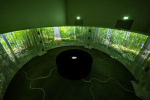 Umělecká instalace, lesní observatoř Silva. Foto Goethe-Institut (1)