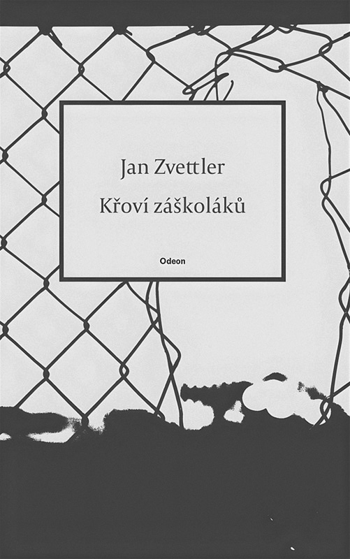 Zachytit to, co se vytrácí